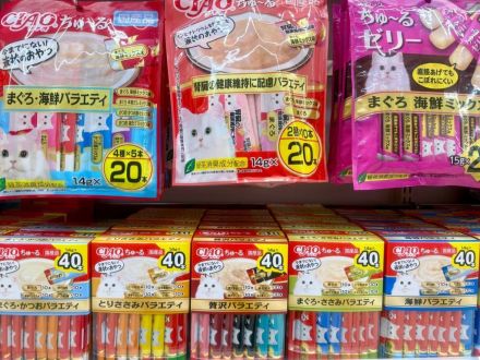＊：.｡ネコちゃんの日☆。.:＊オークワ中津川中村店_