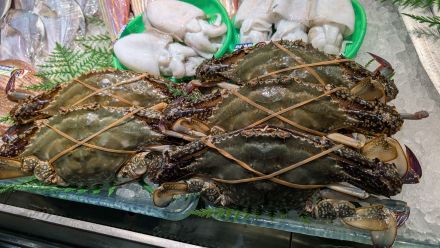 【本日のおすすめ鮮魚が入荷しました！】_