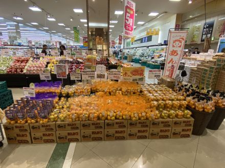 あんみつ姫みかん販売中