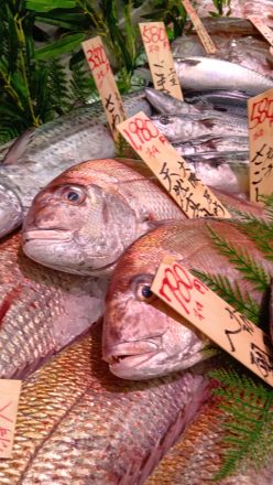 オークワ わくわくシティ尾崎店鮮魚コーナーより＼(^o^)／