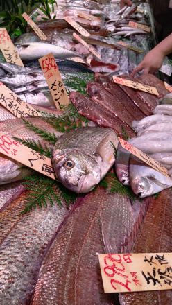 オークワ わくわくシティ尾崎店鮮魚コーナーより＼(^o^)／