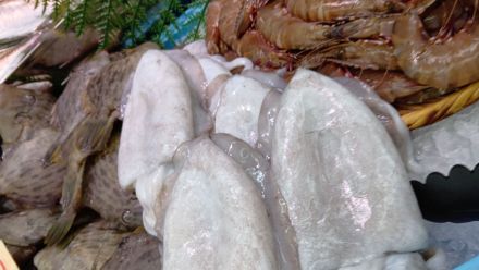 オークワ わくわくシティ尾崎店鮮魚コーナーより＼(^o^)／_