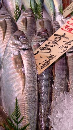 オークワ わくわくシティ尾崎店鮮魚コーナーより＼(^o^)／_