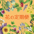 花の定期便(奈良エリア⑥）のチラシ
