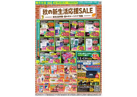 ハ*ー様 レア　ご当地キティ　杏林堂限定　薬剤師　管理栄養士　根付け　2つセット ハ*ー様 レア ご当地キティ 杏林堂限定 薬剤師 管理栄養士 根付け 2