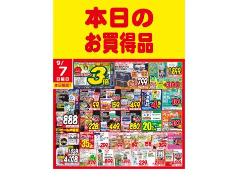 ハ*ー様 レア　ご当地キティ　杏林堂限定　薬剤師　管理栄養士　根付け　2つセット ハ*ー様 レア ご当地キティ 杏林堂限定 薬剤師 管理栄養士 根付け 2