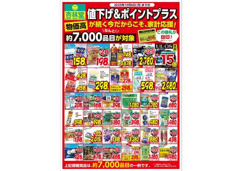 ハ*ー様 レア　ご当地キティ　杏林堂限定　薬剤師　管理栄養士　根付け　2つセット 2025年最新】杏林堂 キティの人気アイテム - メルカリ